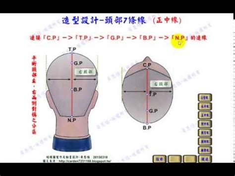 頭部七條基準線中的側中線，其中心點為|剪吹造型能力本位訓練教材 基本剪法概論